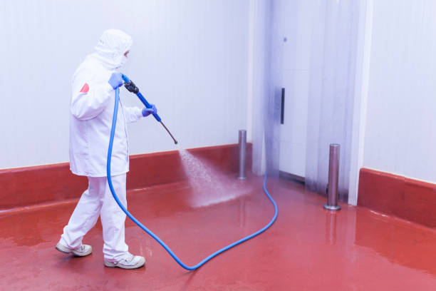 Reliable Middletown, DE Pressure Washing Services Solutions